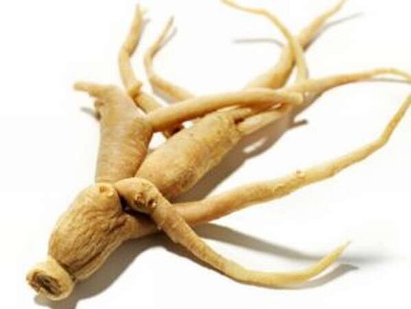 Radice di ginseng